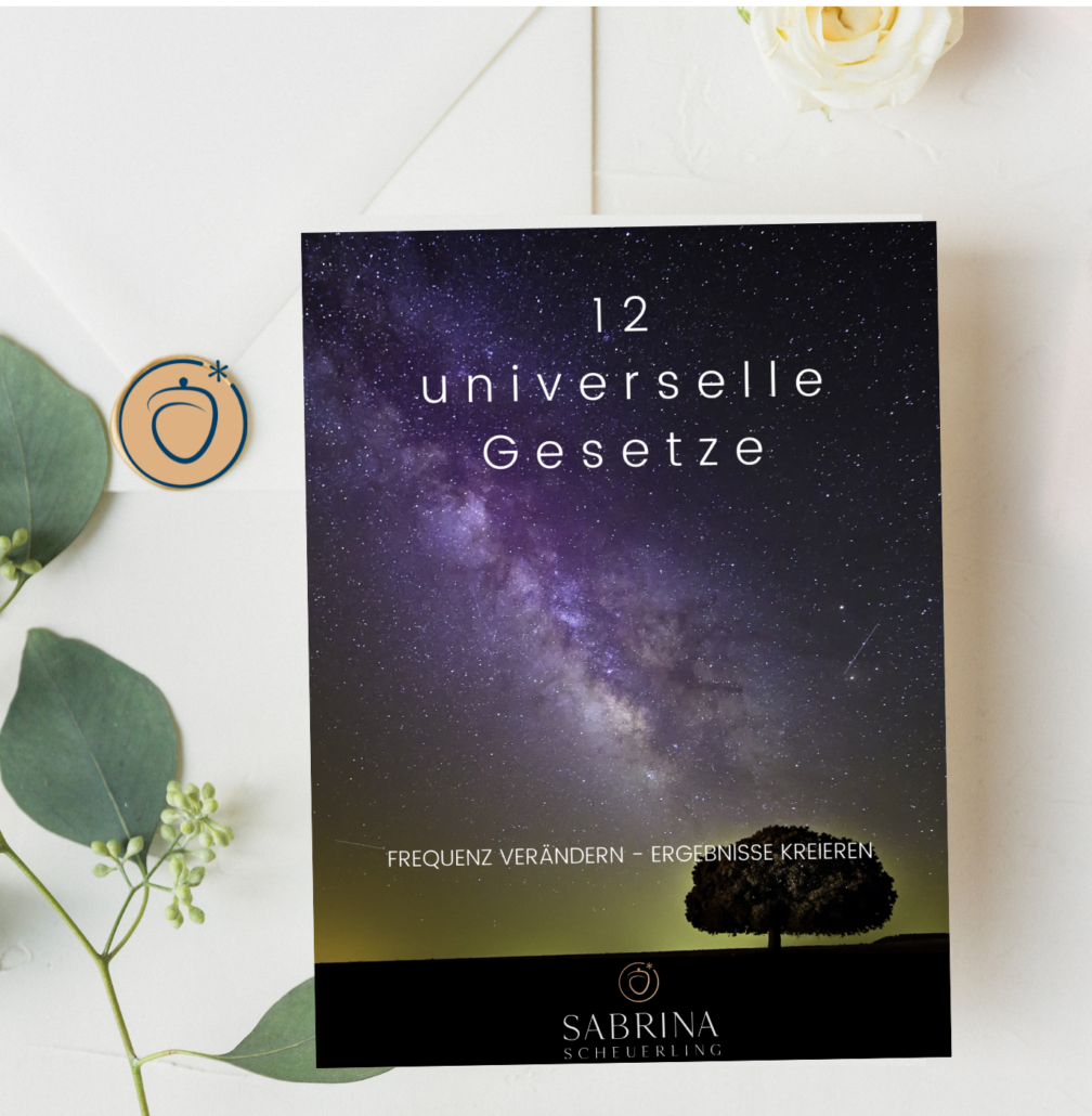 12 Universelle Gesetze
